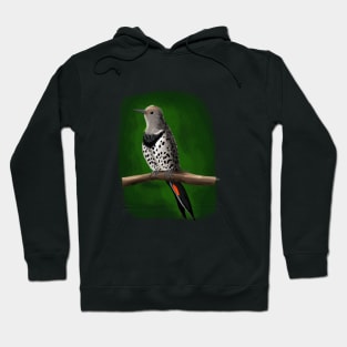 Northern Flicker Hoodie